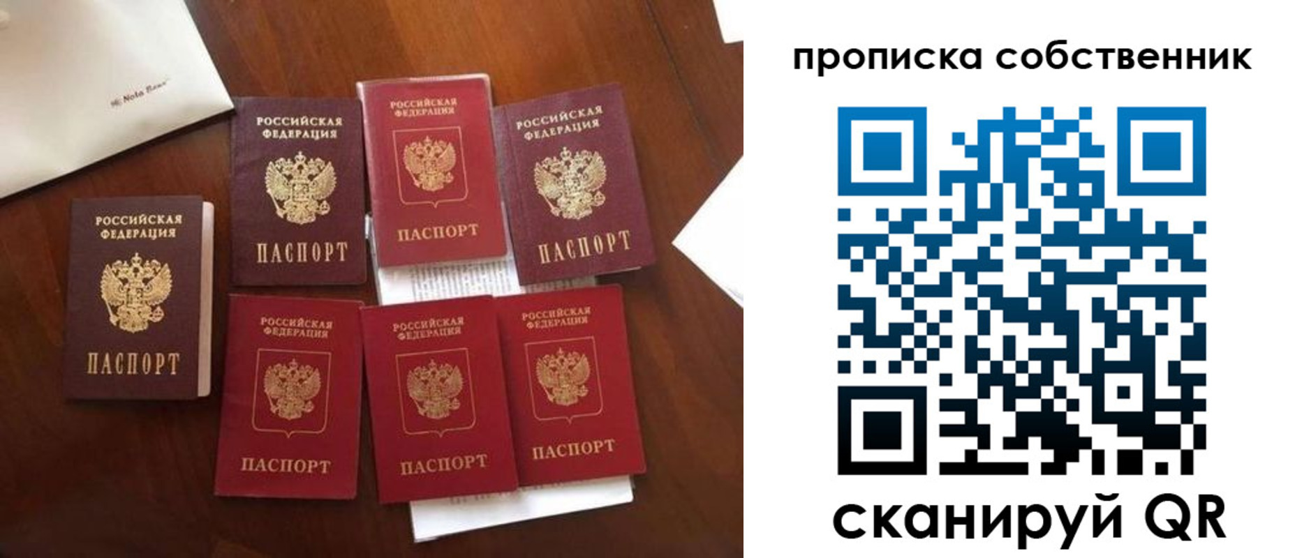 прописка для школы в Коле
