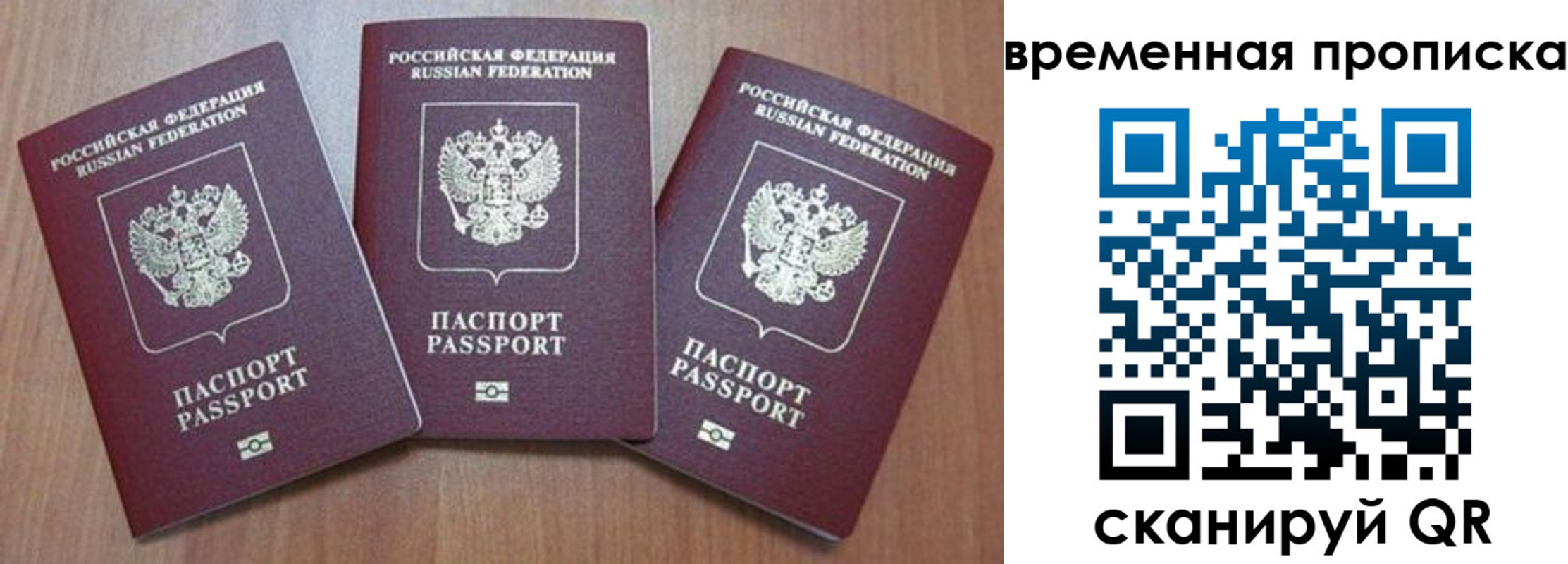 прописка для работы в Коле